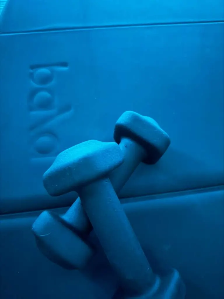 Bala hand weights